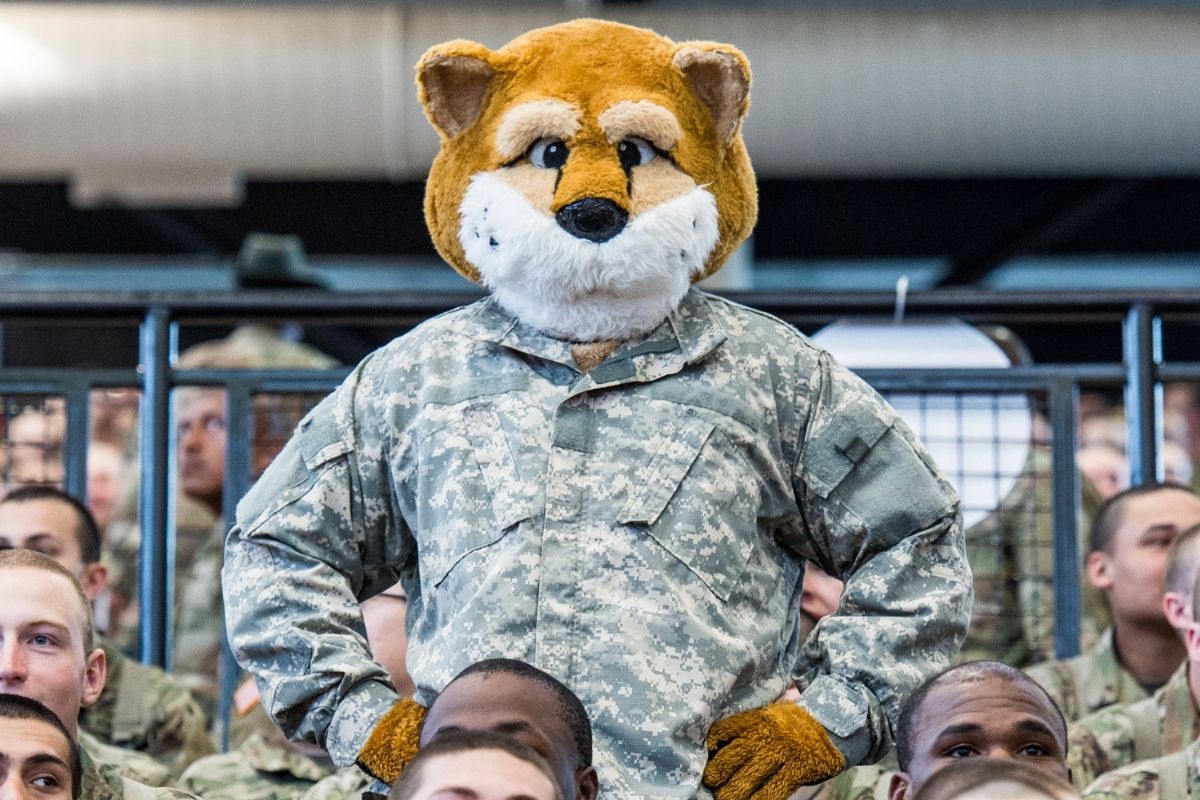 Cody the Cougar mascot wearing military fatigues standing among other soldiers wearing fatigues