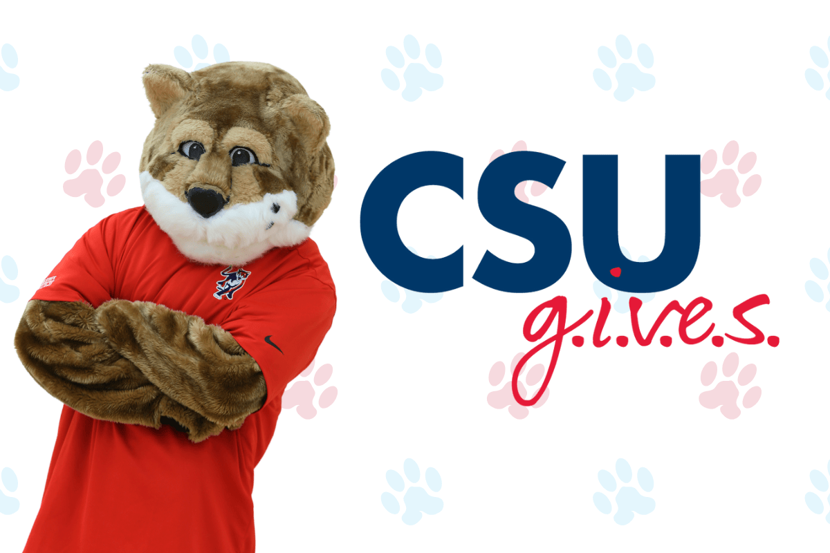 A cutout of Cody the Cougar against a background of red and blue pawprints, with a CSU g.i.v.e.s. graphic