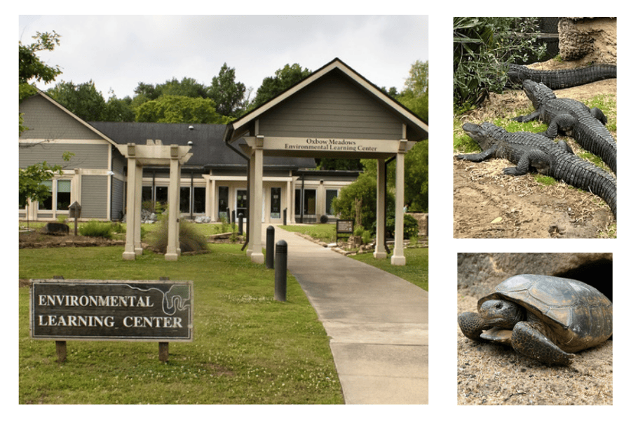 Collage of photos showing the exterior of the Oxbow Meadows Environmental Learning Center, its alligator exhibit and its gopher turtle exhibit