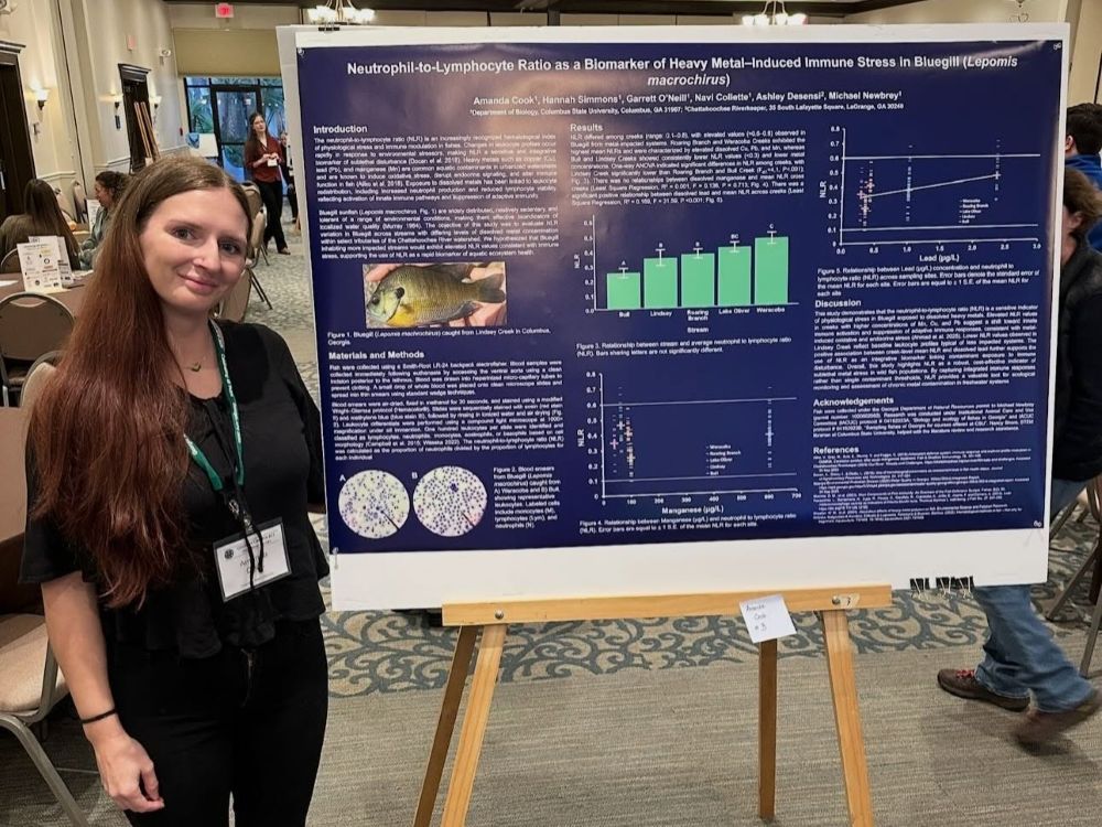 A young woman with long brown hair smiles while standing next to her scientific research poster mounted on an easel at a conference. The dark blue poster is titled "Neutrophil-to-Lymphocyte Ratio as a Biomarker of Heavy Metal-Induced Immune Stress in Bluegill (Lepomis macrochirus)" by Amanda Cook and other researchers from Columbus State University.