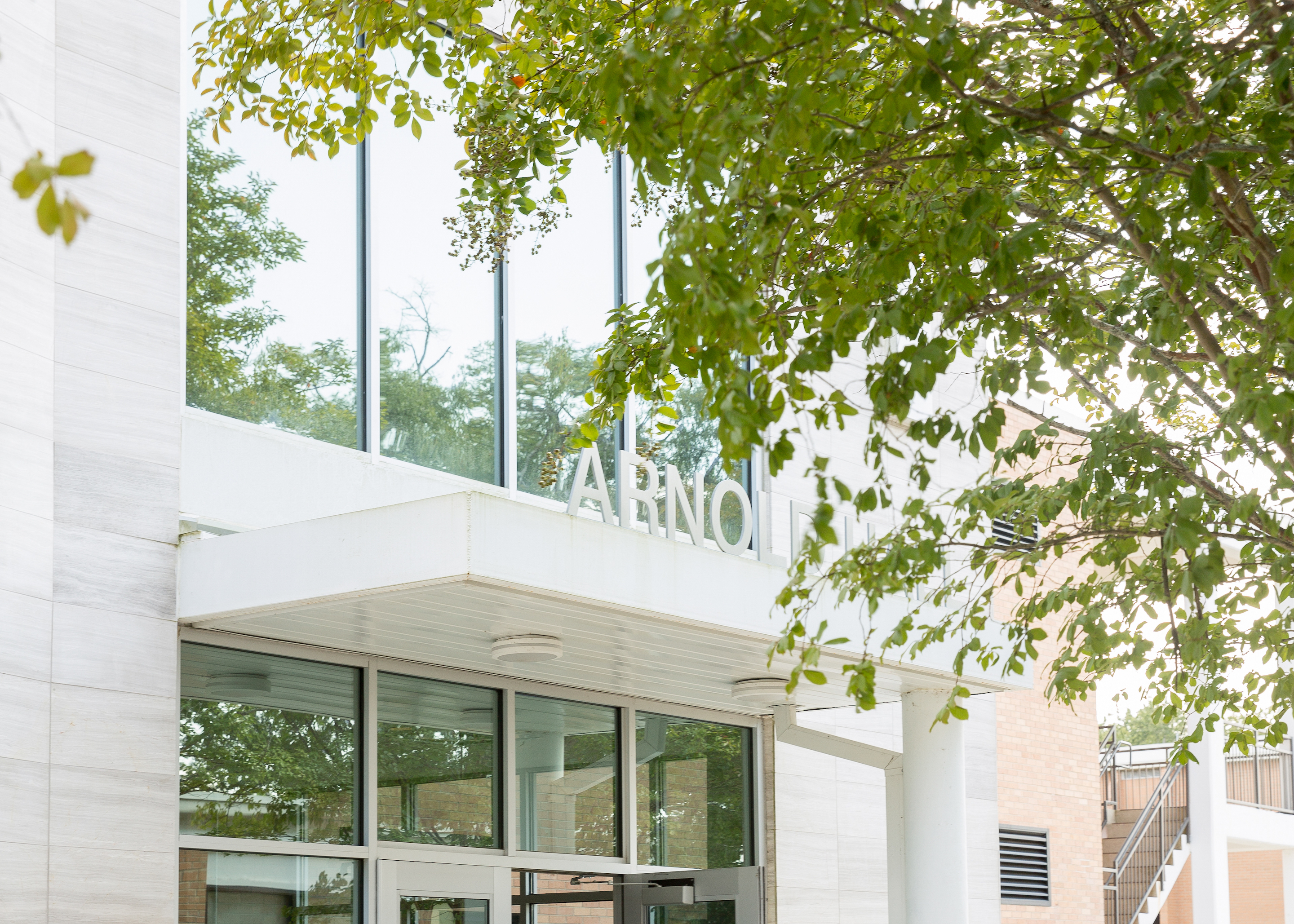 Arnold Hall front entrance with a green tree covering part of the foreground.