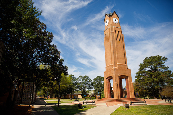 Photo of the Whitley Clock Tower